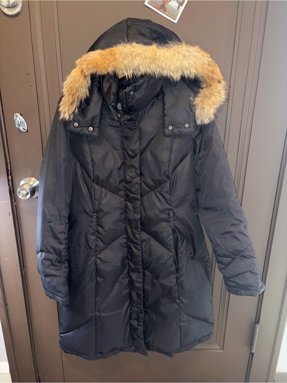 Marc New York by Andrew Marc Black Puffer Down Coat with Fur Trim Hood